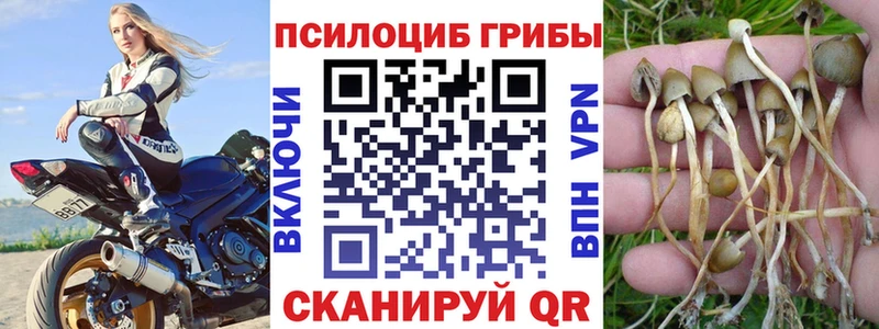 даркнет сайт  ОМГ ОМГ маркетплейс  Галлюциногенные грибы MAGIC MUSHROOMS  Большой Камень 