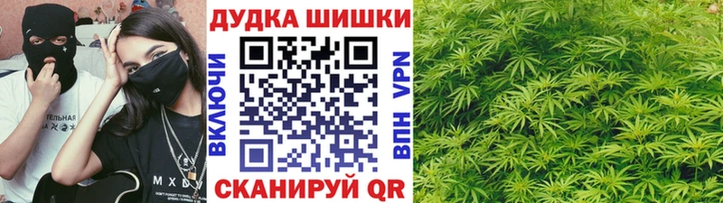 МАРИХУАНА сатива Большой Камень